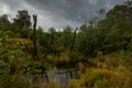 Swamp in beglium called Hautes Fagnes