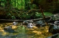 Swamp in the Beraliya tropical rainforest, surrounded by mossy rock boulders and fallen trees, and lush green foliage around. cool Royalty Free Stock Photo