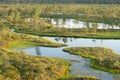 Swamp, birches, pines and blue water. Evening sunlight in bog. Reflection of marsh trees. Fen, lakes, forest. Royalty Free Stock Photo