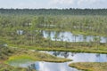 Swamp, birches, pines and blue water. Evening sunlight in bog. Reflection of marsh trees. Fen, lakes, forest. Moor in summer Royalty Free Stock Photo