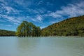 Swamp cypress grove in water of Sukko lake Royalty Free Stock Photo