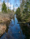 Swamp ditch in spring, trees and sky shine in water