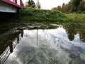 Swamp duckweed green water and broken bridge view