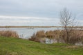 Swamp on Ermak Island in the Danube Biosphere Reserve near the town of Vylkove. Ukraine