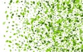 Swamp Foliage Organic Vector Pattern. Swirl Leaf