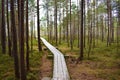 Swamp footbridge through pine forest