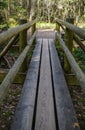 Swamp in a forest on early spring.A wooden trail in the swamp Royalty Free Stock Photo