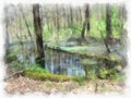 Swamp in the forest, the water is covered with green duckweed, leaves. Royalty Free Stock Photo