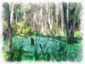 Swamp in the forest, the water is covered with green duckweed, leaves. Royalty Free Stock Photo