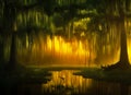 Swamp with golden sunset Royalty Free Stock Photo