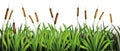 Swamp grass seamless border, vector water green reed plant frame background, river cartoon leaves.