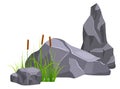 Swamp grass with stone. Natural rock landscape element