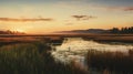 Sunset Marsh: A Captivating 35mm Photograph Of California\'s Philodendron Line Road