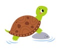 Swamp with Happy Green Turtle Animal with Carapace Vector Illustration