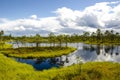 Swamp in Kemeri National Park in Jurmala, Latvia.