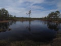 Swamp in lahemaa national park, Estonia