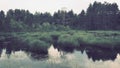 Swamp is a landscape area with excessive moisture, moisture-loving living ground cover, hydrosphere. Karelia, swamping Royalty Free Stock Photo