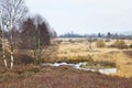 Swamp Landscape, Eifel Royalty Free Stock Photo