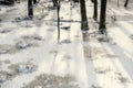 Swamp Landscape in Germany in Winter