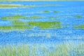 Swamp landscape in Nature park Vrana lake in Croatia