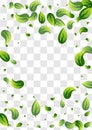 Swamp Leaf Motion Vector Transparent Background