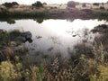 Swamp with light reflections Layos, Toledo Royalty Free Stock Photo