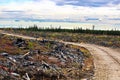 A swamp mat road through a clear cut logging section Royalty Free Stock Photo