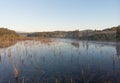 Swamp in the morning at dawn, in a couple in the forest. Morning landscape