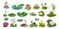 Swamp plants set. Isolated cartoon water lily. Forest pond elements, wild nature green collection. Vector floral and Royalty Free Stock Photo