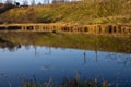 Swamp or pond on a sunny autumn day with dry grasses and reflections of trees on the water. Royalty Free Stock Photo