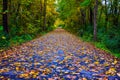 Swamp Rabbit Trail in Greenville South Carolina SC