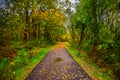 Swamp Rabbit Trail in Greenville South Carolina SC