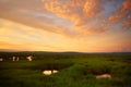 Swamp sunset Royalty Free Stock Photo