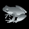 Swamp toad. gray frog. vector green small illustration Royalty Free Stock Photo