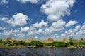 Swamp vegetation in the Danube delta