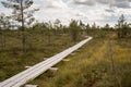 Swamp view wtih lakes and footpath Royalty Free Stock Photo