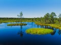 Swamp Viru raba in Estonia