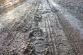 Swamp and wet road in Western Ukraine village, countryside path, closeup, sunlight Royalty Free Stock Photo