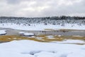 Swamp in winter, white winter landscape with snowy trees, thick snow covering tree branches and land