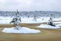 Swamp in winter, white winter landscape with snowy trees, thick snow covering tree branches and land