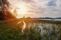 Swamped high grass path on pond edge with trees and sky. Czech landscape