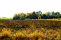 swampland caldera Strohner MÃÂ¤rchen with yellow and brown autumn colors Royalty Free Stock Photo