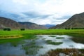 The swampland of tibet Royalty Free Stock Photo
