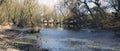 Swamps in autumn. Cool dark lake in primeval forest. Cold melancholic landscape.