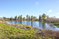 Swamps At Circle B Bar Reserve