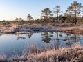 swamps and lakes early in the morning, land covered with frost, beautiful reflections of the swamp lake