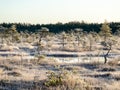 Swamps and lakes early in the morning, land covered with frost, beautiful reflections of the swamp lake Royalty Free Stock Photo