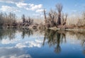 Swampy autumn, sunny landscape