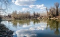 Swampy autumn, sunny landscape