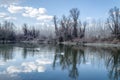 Swampy autumn, sunny landscape